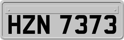 HZN7373