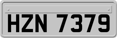 HZN7379