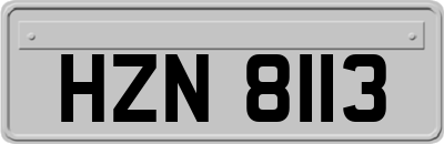 HZN8113
