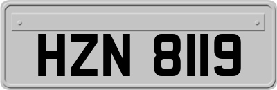 HZN8119