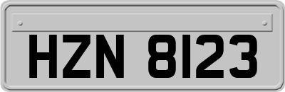 HZN8123