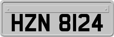 HZN8124