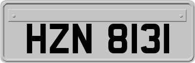 HZN8131