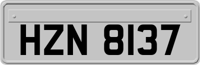 HZN8137