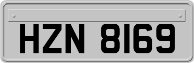 HZN8169