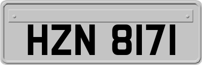 HZN8171