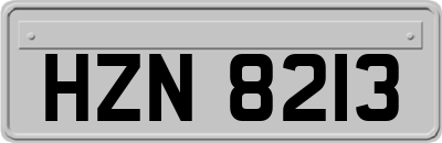 HZN8213