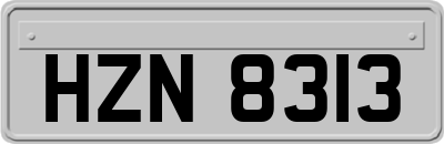 HZN8313
