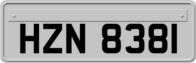 HZN8381