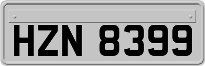 HZN8399