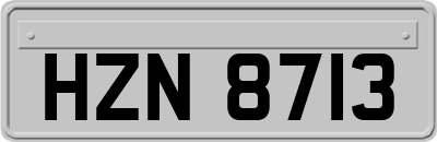 HZN8713