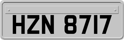 HZN8717