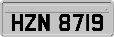 HZN8719