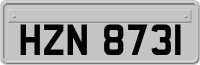 HZN8731