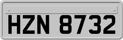 HZN8732