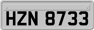HZN8733