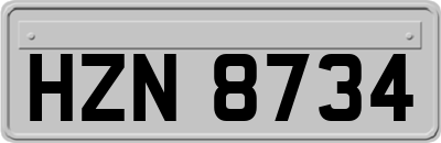 HZN8734