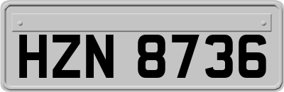 HZN8736