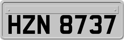 HZN8737