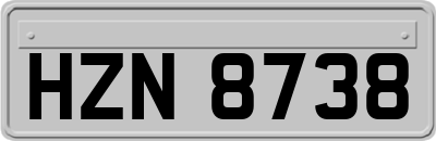 HZN8738