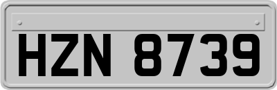 HZN8739