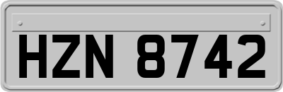 HZN8742