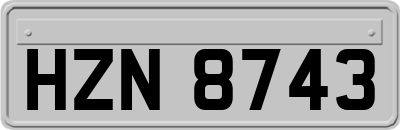 HZN8743
