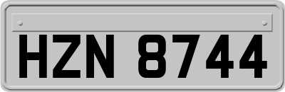 HZN8744