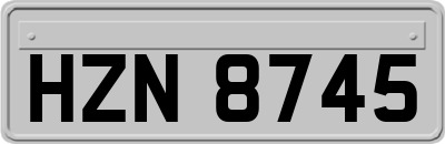 HZN8745