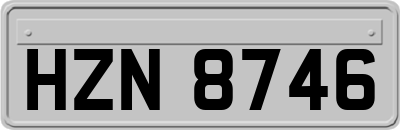 HZN8746
