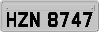 HZN8747