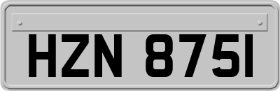 HZN8751