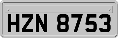 HZN8753