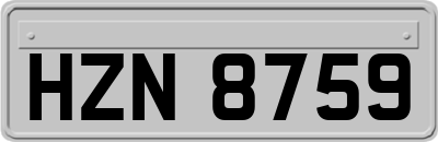 HZN8759