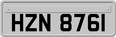 HZN8761