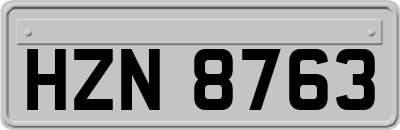 HZN8763