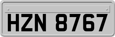 HZN8767