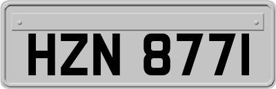 HZN8771