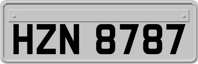 HZN8787