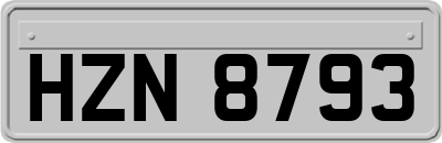 HZN8793
