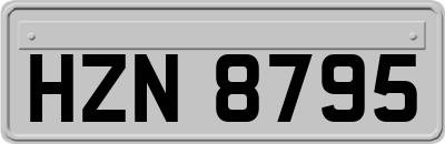 HZN8795