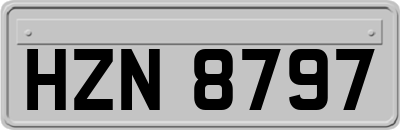 HZN8797