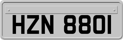 HZN8801