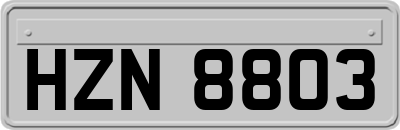 HZN8803