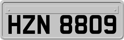 HZN8809