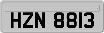 HZN8813