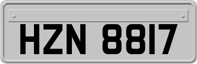 HZN8817