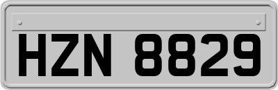 HZN8829