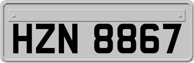 HZN8867