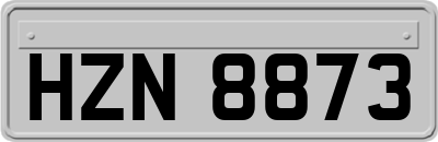 HZN8873